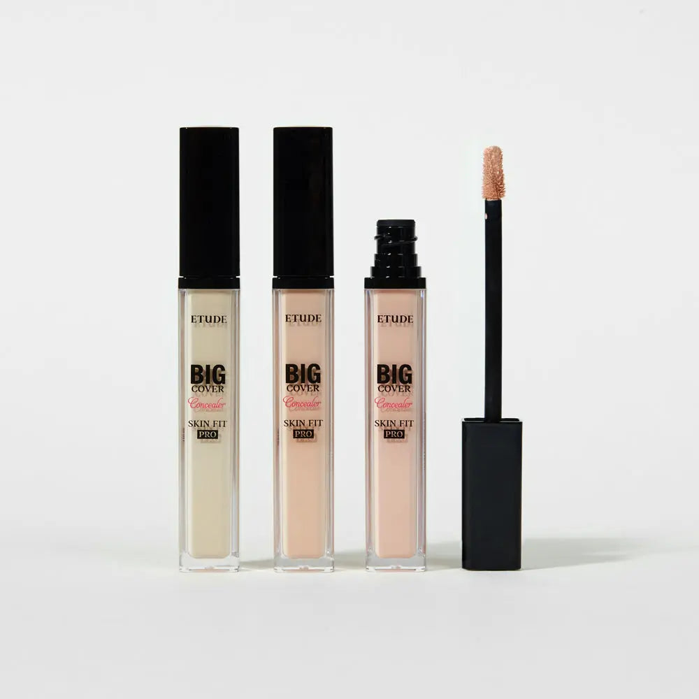 Big Cover Skin Fit Concealer PRO Etude House