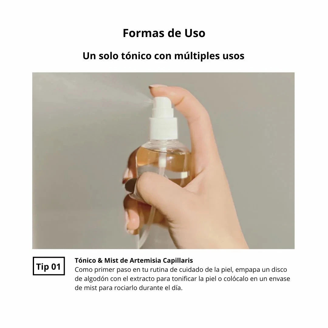 One Thing Tónico “Artemisia Capillaris Extract Toner“ 40 ml One Thing