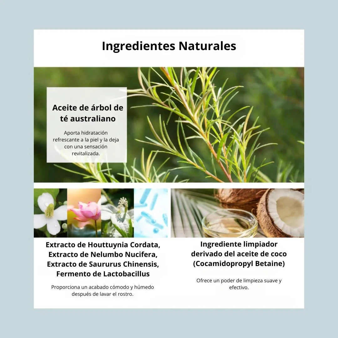 Healing Tea Garden Cleansing Foam – Tea Tree Arumi Korean Cosmetics