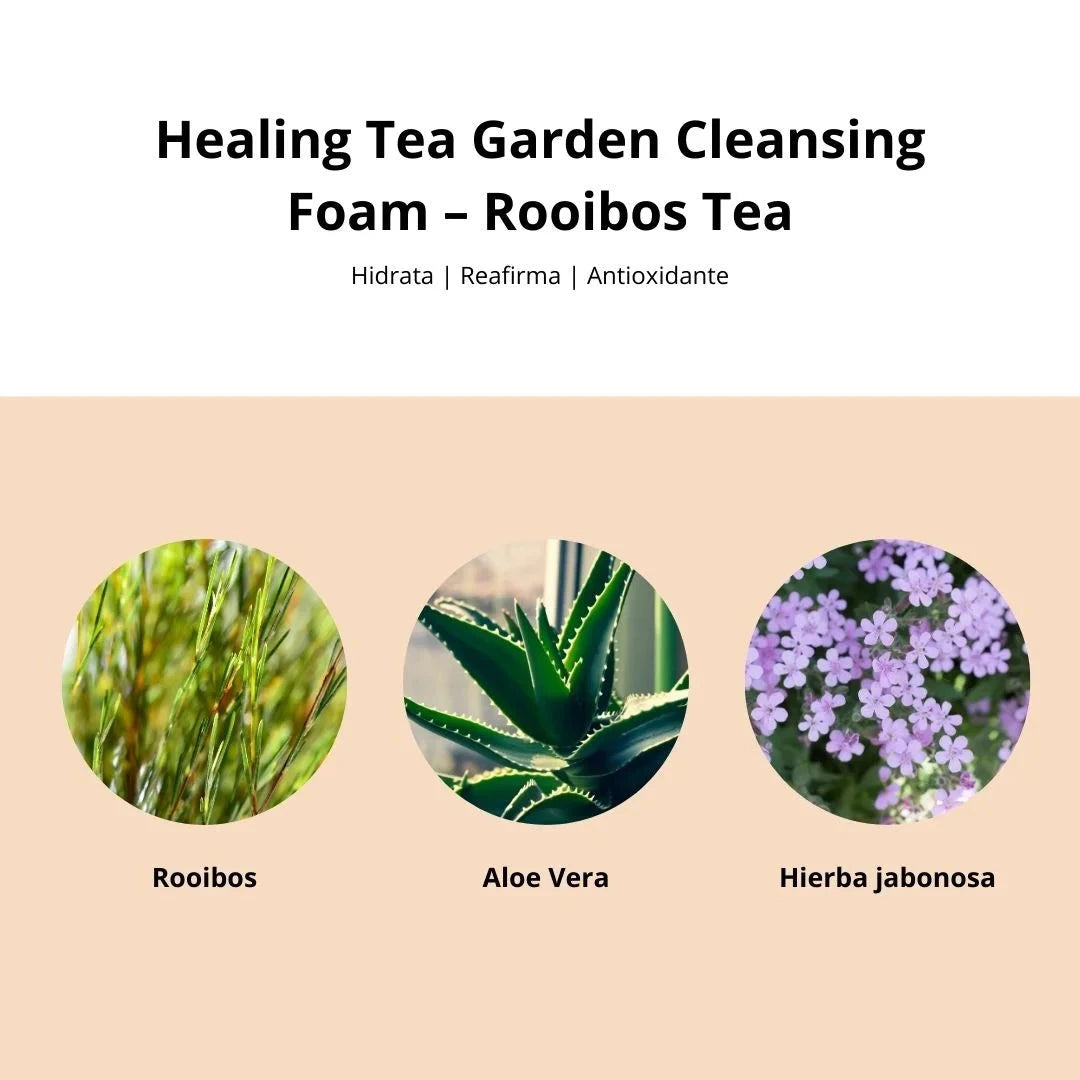 Healing Tea Garden Cleansing Foam – Rooibos Tea The Saem