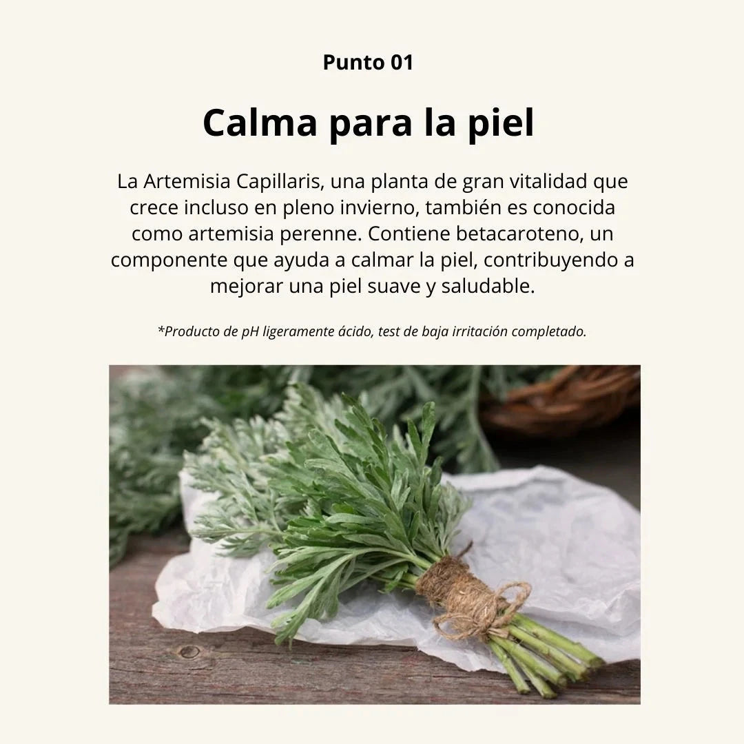 One Thing Tónico “Artemisia Capillaris Extract Toner“ 40 ml One Thing