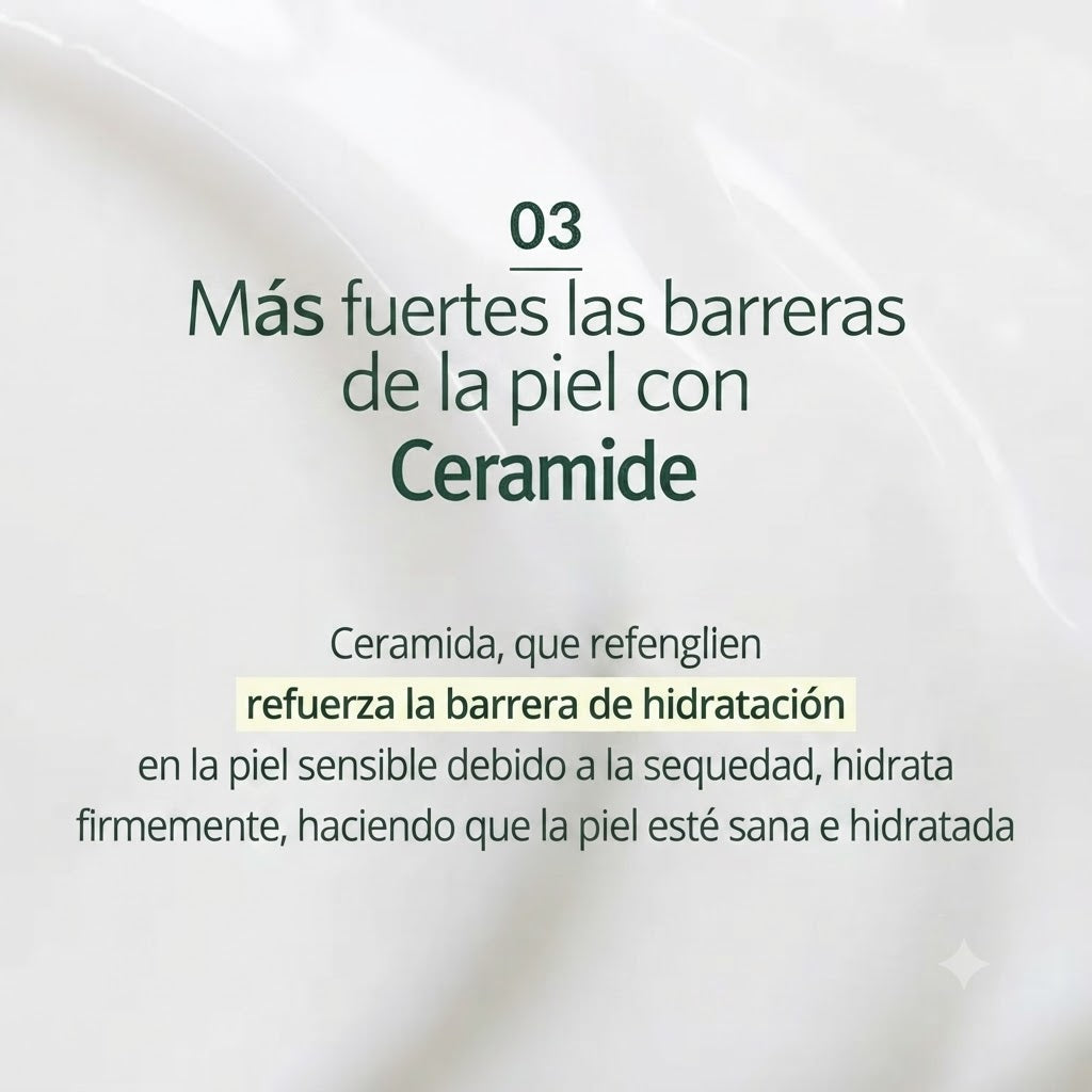 Pyunkang Yul Calming Moisture Barrier Cream 50ml | Crema Hidratante Calmante Pyunkang yul