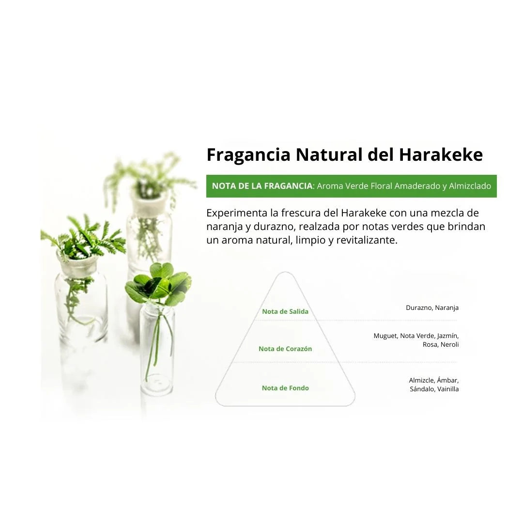 [THE SAEM] Harakeke Foam Cleanser The Saem