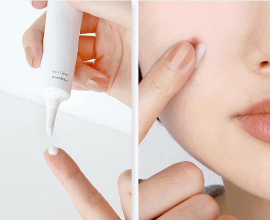 Pyunkang Yul Spot Cream 15ml PYUNKANG YUL